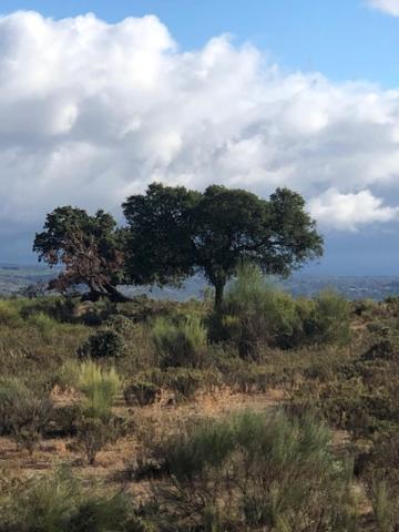 3 Marias Da Fonte Villa Lousã Eksteriør bilde